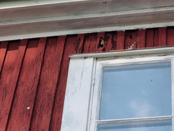 Röd husfasad med vitmålat fönster och sliten lockläkt ovanför fönstret.