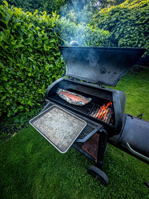 Rökt lax i grill på grön gräsmatta med rök och eldlågor, omgiven av gröna buskar.