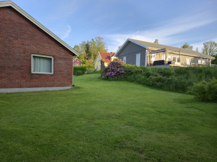 En grön trädgård med två hus, ett av tegel och ett av trä, med träd i bakgrunden som kan skymma kvällssolen.