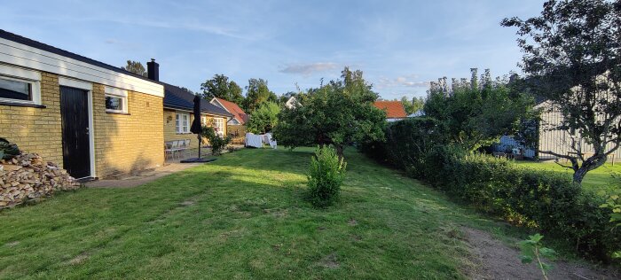 Trädgård med gräs och träd, tegelhus med svart dörr i bakgrunden, staplad ved till vänster.