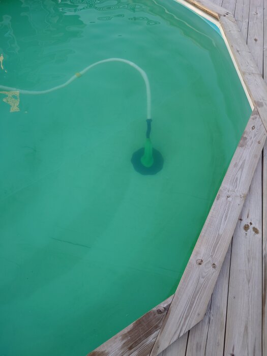 Pooldammsugare under vatten i en rund pool med trädäck, slangen är synlig på ytan, grön vattenton.