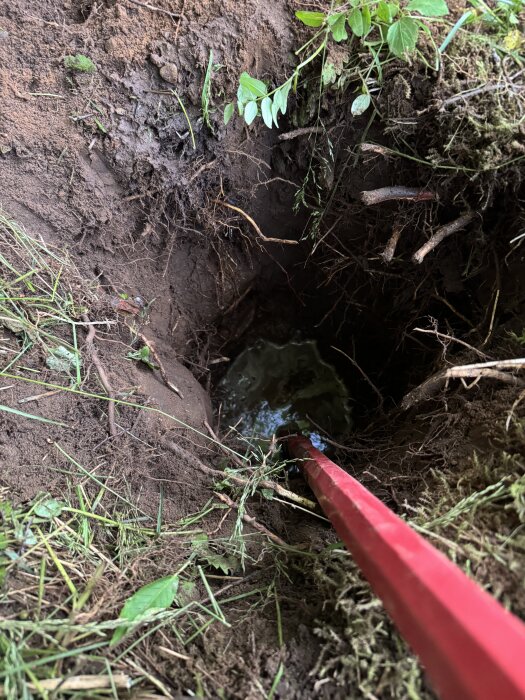Hål i marken med rötter, vatten i botten, och ett rött järnspett nedstucket. Grön växtlighet kring kanten.