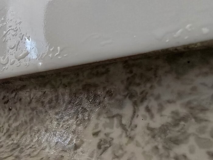 20250613_111134.jpg