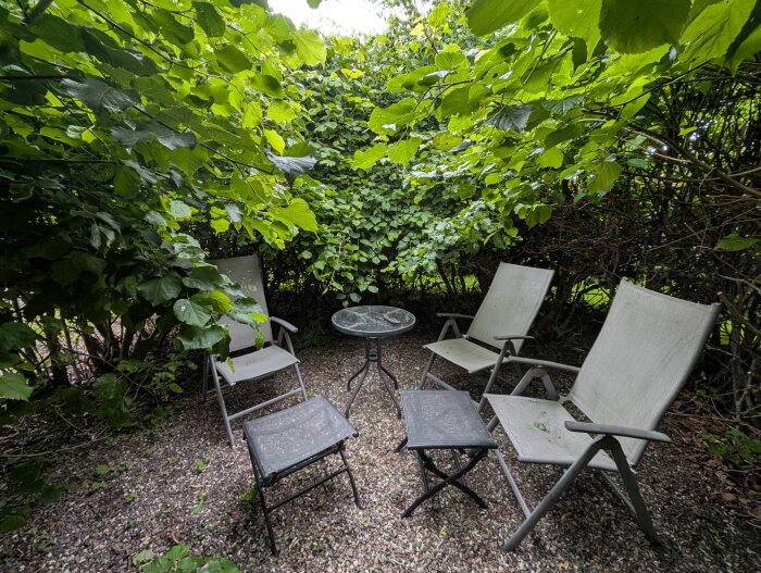 Sittgrupp med bord och stolar omgiven av tät häck med gröna blad. Grusbelagd mark och omsluten av en Lindberså.
