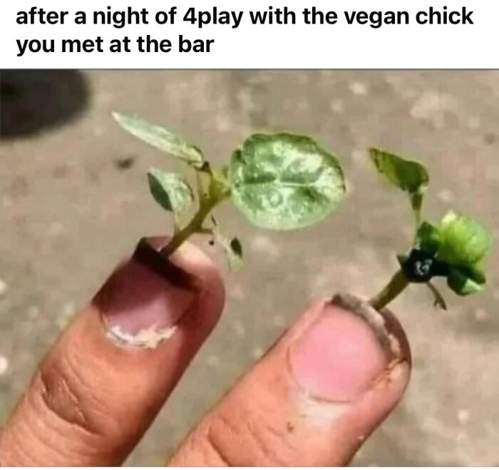 Fingrar som håller små plantor mellan naglarna mot en suddig bakgrund.