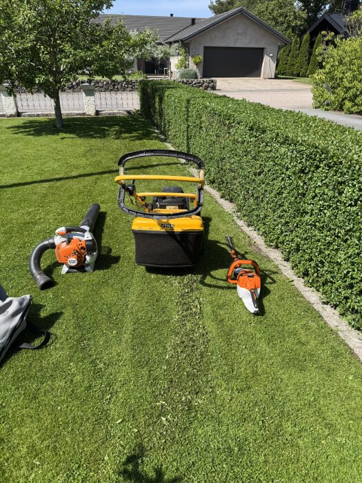 Ligusterhäck nyklippt med häcksax, städklippare och lövsug/blås framför. Grönt gräs och en bostad syns i bakgrunden.
