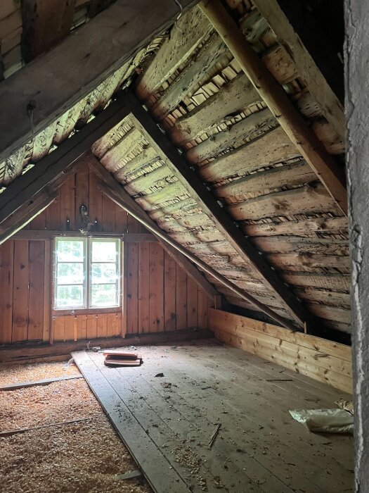 Gammal vind med ojämnt tak, exponerade takstolar, ljusinsläpp från fönster, träväggar och golv delvis täckt med spån.