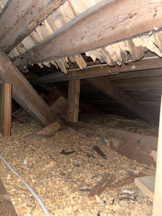 Gammalt tak med trasiga eternitplattor och ojämna takstolar i ett torp, omgivet av sågspån och bråte på vinden.