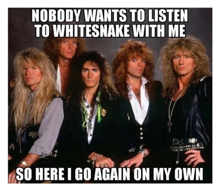 Grupp män med långt lockigt hår och rockkläder står tillsammans. Text ovanför: "Nobody wants to listen to Whitesnake with me", under: "So here I go again on my own".