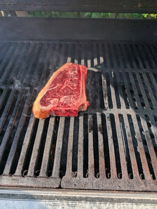Rått kött på grillgaller utomhus i solljus.