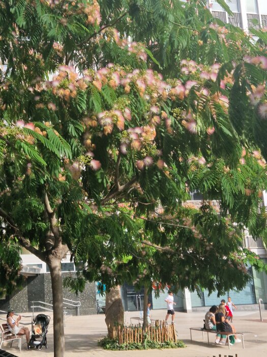 Ett träd med rosa blommor i en stadsmiljö. Folk sitter och går runt i bakgrunden.