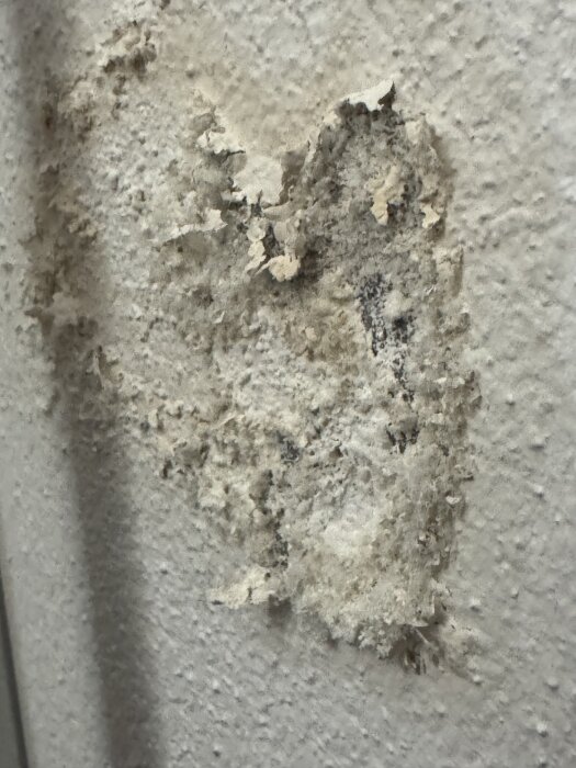 Flagnande färg och brun fläck på en källarvägg, indikerande mögel eller fuktskada.