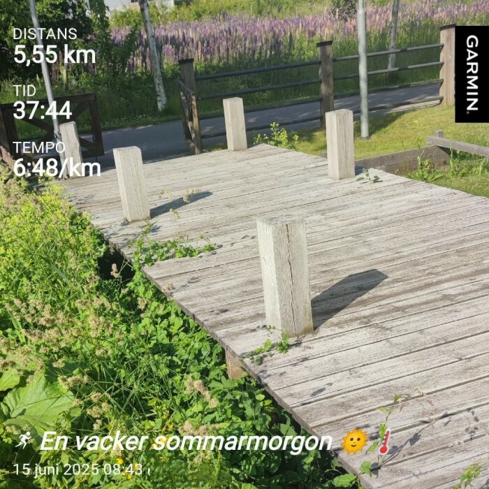Träbrygga omgiven av grönska med lila blommor i bakgrunden en solig sommarmorgon. Garmin-applikationen visar distans och tid.