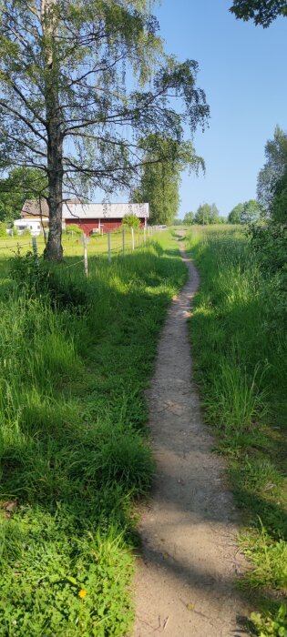 En smal grusväg leder genom en grönskande äng med ett rött hus och stora träd i bakgrunden under en blå himmel.