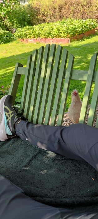 Person ligger på filt i trädgård, benen sträcker sig mot ett grönt staket och en ljus höna tittar fram på andra sidan staketet i solskenet.