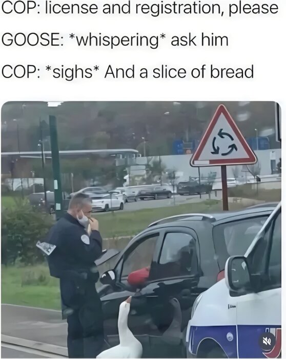 En polis i uniform står vid ett bilfönster och pratar med föraren. En gås står bredvid polisbilen.
