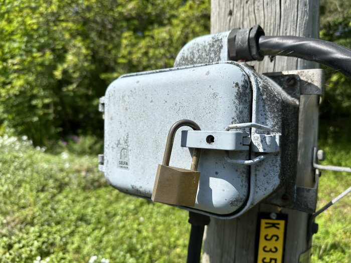 Utomhusskåp med lås på elstolpe, omgiven av grönska.
