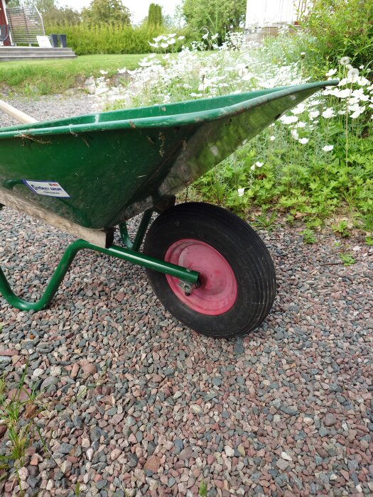 En grön skottkärra på en grusuppfart med en röd fälg och svart däck. I bakgrunden syns vita blommor och grön vegetation.