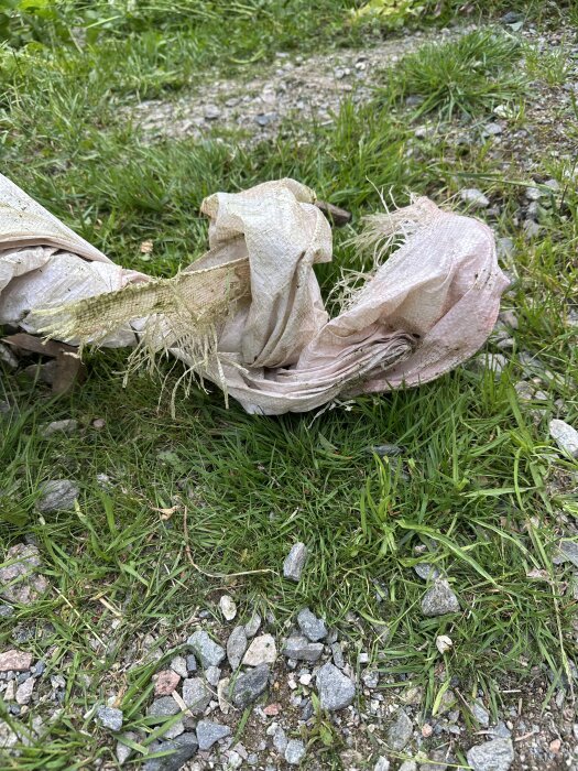 Sönderriven presenning på gräsmatta med stenar, sannolikt efter att ha fastnat i gräsklipparen.