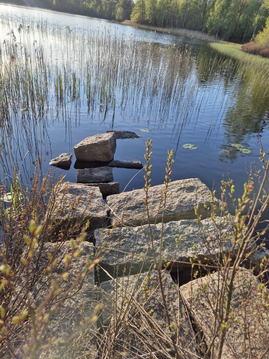 Gamla stenfundament vid strandkant, delvis nedsänkta i vatten, omgivna av vass och vegetationsklädda träd vid en sjö i norra Blekinge.