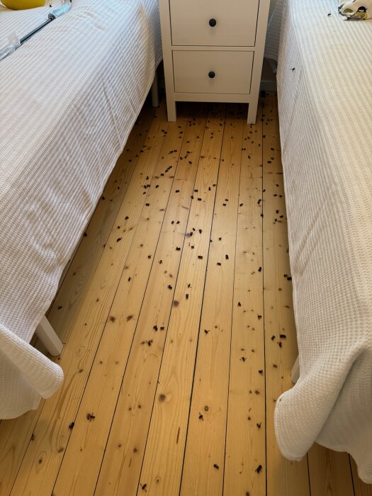 Döda getingar utspridda på ett trägolv mellan två sängar med vita överkast.