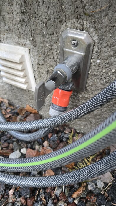 Vattenutkastare i murvägg med fast nyckel i öppet läge, anslutna slangar och rött vred, omgiven av stenar och löv.