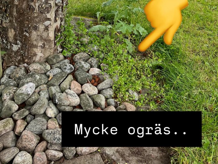 Stenbelagd kant vid träd med ogräs; hand-emoji pekar på ogräs intill stenar. Texten "Mycke ogräs.." över bilden.