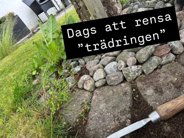 Verktyg och stenkant kring trädgård fyllt med ogräs, rensat område med texten "Dags att rensa 'trädtingen'".
