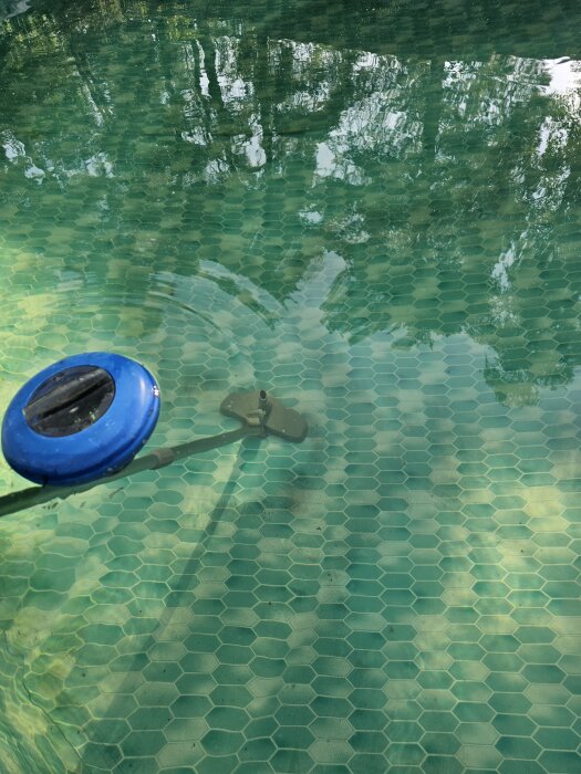 Grön pool med hexagonal kakelbotten, reflektioner av träd i vattnet och ett blått rund föremål på ytan.