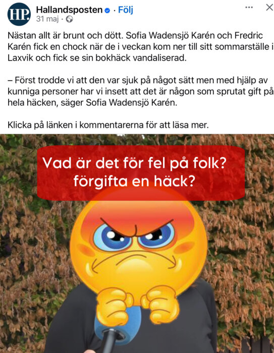 En Facebookinlägg från Hallandsposten om vandaliserad bokhäck, med en arg emoji över en person med en mikrofon och texten "Vad är det för fel på folk?