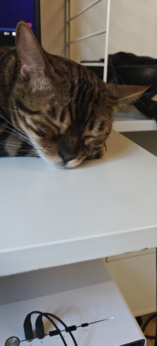 Katt sover på vitt skrivbord nära datorhörna.
