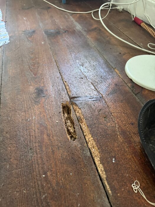 Trägolv med skadat bräda och borrhål, möjligen orsakade av skadedjur, synligt i mitten av bilden.