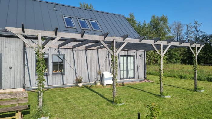 Trähusfasad med pergola i direkt solljus målad med tjärvitriol, synlig växtlighet runt stolparna och en stol vid väggen.