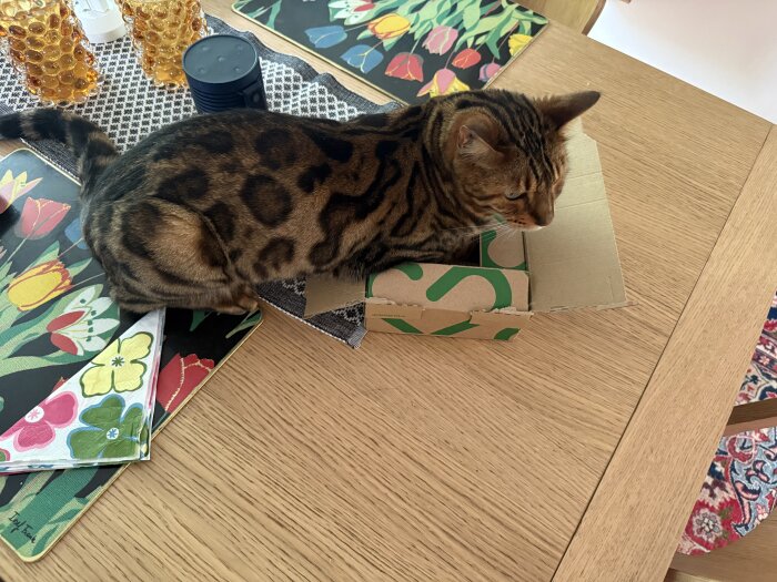 En katt ligger i en liten kartong på ett träbord med färgglada blommiga underlägg och gyllene glaslyktor.