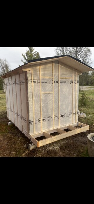 Ofärdig bastustuga med underlagspapp på taket, stående på plintar, med omålad trästruktur och vindskyddspanel i skogslandskap.