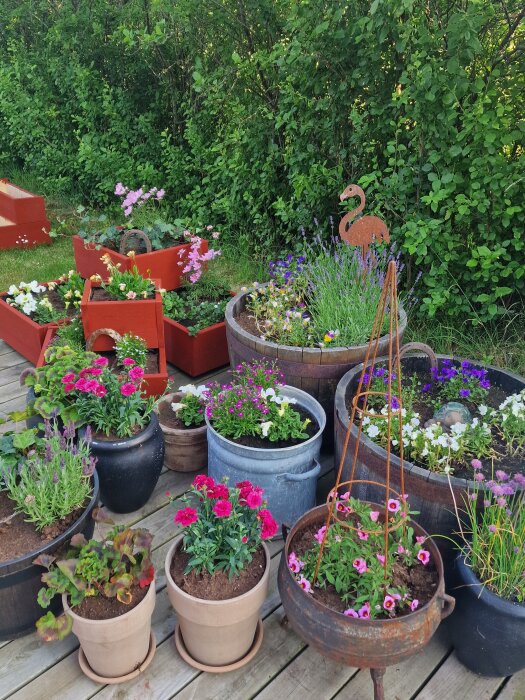 Flera krukor med blommor på en träaltan, omgivna av grönska. En rostig flamingo-dekoration står bland blommorna.
