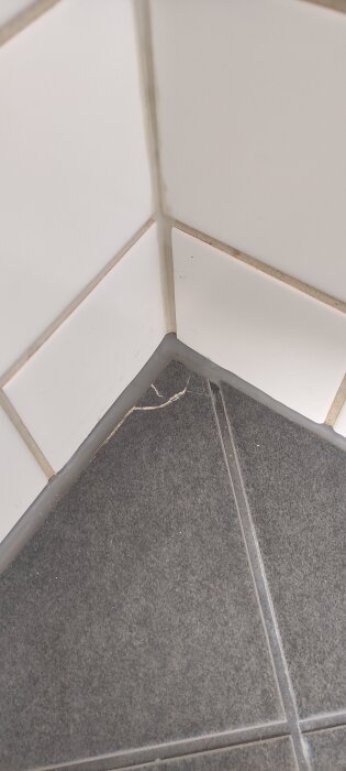 Spricka i hörn av badrumsgolv nära dusch, visas tydligt på mörkgrå klinkerplattor med vita kakelväggar i bakgrunden.