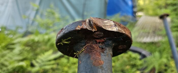 Närbild av ett skadat trappräcke med ett jack i metallen, omgivet av grönska.