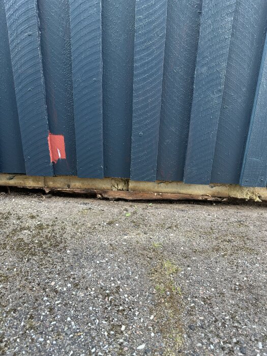 Ruttet trä vid nederkanten av blå träpanel på kallgarage, mark nära träet.