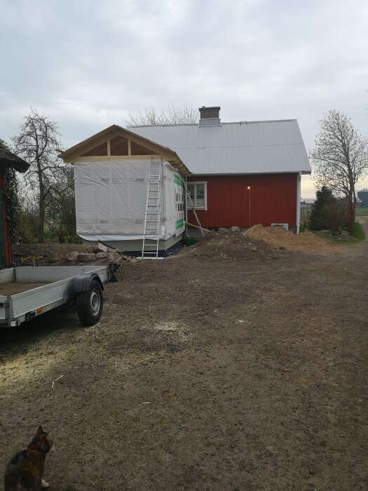 Rött hus med ljusgrått plåttak under renovering, stege lutad mot utbyggnaden, släpvagn och katt i förgrunden.