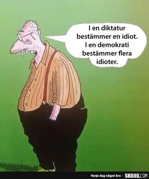 Animerad man med pratbubbla: "I en diktatur bestämmer en idiot. I en demokrati bestämmer flera idioter." Grön bakgrund.