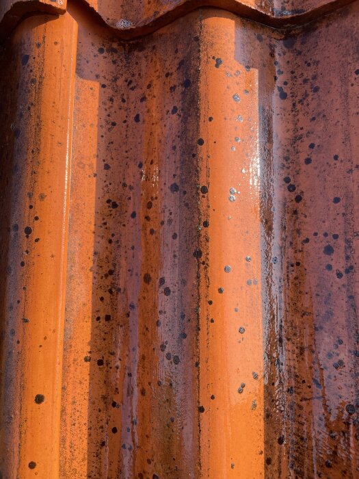 Närbild av lertegeltak med svarta prickar och fläckar som inte gått bort trots rengöringsförsök.