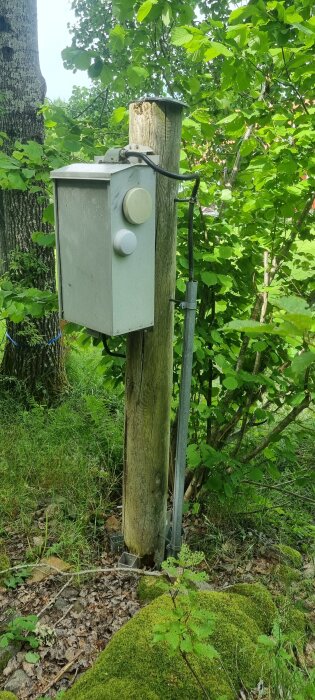 Rutten trästolpe med mätarskåp och nedgrävda kablar omgiven av grönska och mossa.