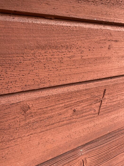 Röd trävägg med små, svarta mögelprickar spridda över ytan.