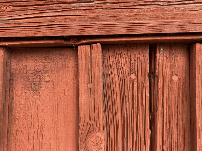 Röd, träpanel med svarta mögelprickar synliga på ett fåtal ställen.