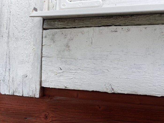 Närbild på en södervägg med vita träpaneler som visar små svarta mögelprickar och slitage nära ett rött träparti och en fönsterkarm.