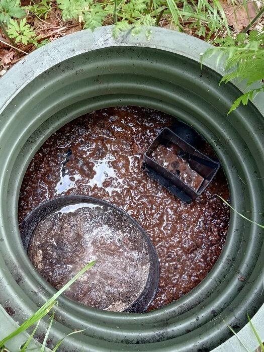 Bild av Fann slamavskiljare, 2-kammare, innan tömning, visar avförda material och hål i botten för avrinningsvatten i grön behållare.