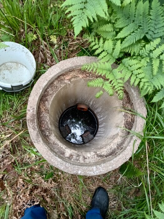 Cementrör med växtlighet omkring och synligt avloppshål med vatten, del av en avloppslösning vid stuga.