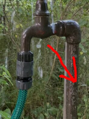 Utomhusvattenkran med fastsatt slang och röd pil som pekar på röret, omgiven av grönska.