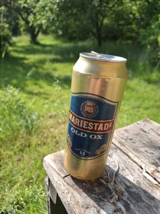 Mariestads Old Ox ölburk står på ett träbord i en grönskande trädgård.